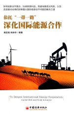 [PDF] 依托“一带一路”深化国际能源合作
