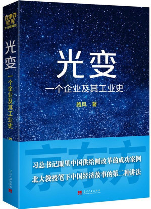 [MOBI] 光变：一个企业及其工业史