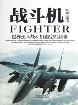 [EPUB] 战斗机——世界王牌战斗机暨空战实录 (军事系列图书)