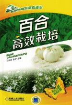 [PDF] 百合高效栽培