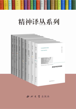 [EPUB] 精神译丛（套书共9册）: 豆瓣高评分！在汉语的国土展望世界，致力于当代精神生活的反思、重建与再生产