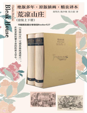 [PDF] 荒凉山庄：插图珍藏本（套装上下册）