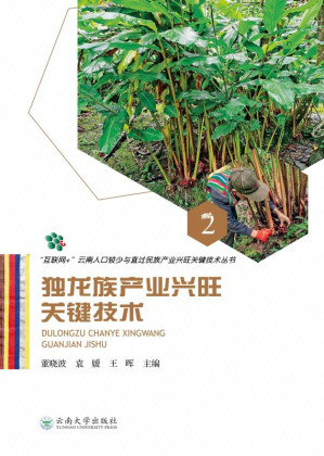 [EPUB] 独龙族产业兴旺关键技术