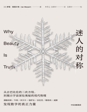 [PDF] 迷人的对称（跟随闪耀天才的故事，探索对称的历史，发现数学的真正力量）