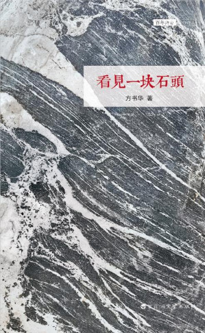 [EPUB] 看见一块石头