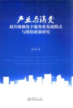 [PDF] 产业与消费双升级视角下服务业发展模式与供给政策研究
