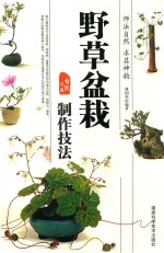 [PDF] 野草盆栽 制作技法