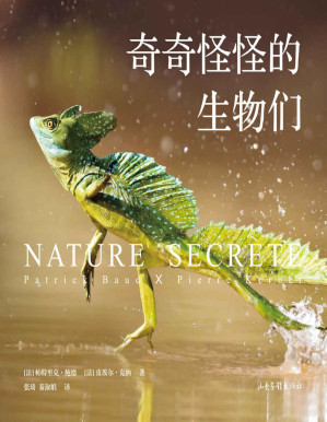 [PDF] 奇奇怪怪的生物们（神奇动物在这里！澳大利亚的五彩蜘蛛、马达加斯加的枯叶壁虎、印度的巨型松鼠…百余种珍稀物种，大开眼界！）