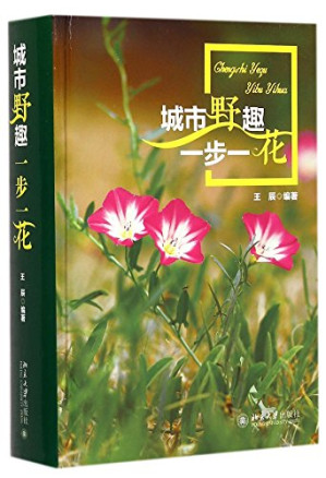 [PDF] 城市野趣