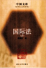 [PDF] 国际法 上