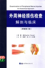 [PDF] 外周神经损伤检查 解剖与临床 原著第2版