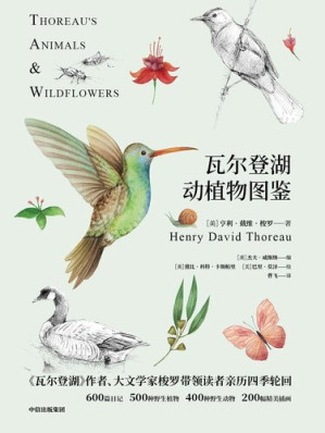 [EPUB] 瓦尔登湖动植物图鉴：动物篇+植物篇（2册）