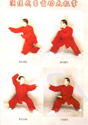 [PDF] 少林飞龙拳