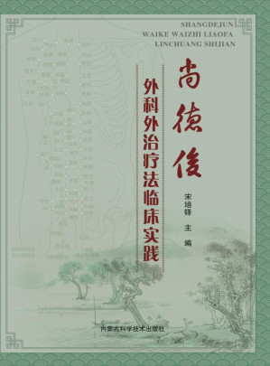 [EPUB] 尚德俊外科外治疗法临床实践
