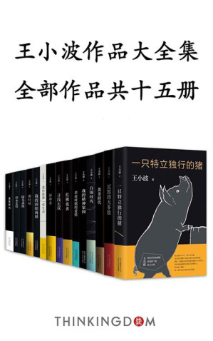 [EPUB] 王小波作品大全集