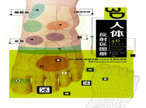 [EPUB] 3D人体反射区图册（白金珍藏版）