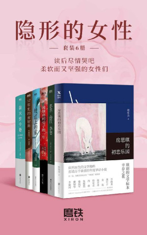 [EPUB] 隐形的女性.套装（全6册）【为什么13岁的她非要爱上侵犯的男老师？为什么女性非要结婚，被囚禁于家庭？为什么女性耗尽一生都走不出年少被父母厌弃的阴影？女性友谊最真实状况是什么样子的？父权制阴翳下的女性生存环境又是何其艰难？读这些书，然后尽情哭吧，柔软而又坚强的女性们！】