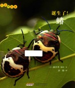 [PDF] 生命的故事 诞生了！蝽