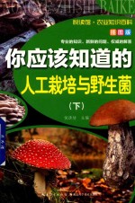 [PDF] 你应该知道的人工栽培与野生菌 下