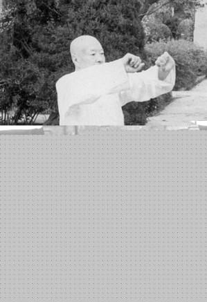 [EPUB] 杨氏太极拳诠真