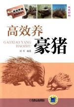 [PDF] 高效养豪猪