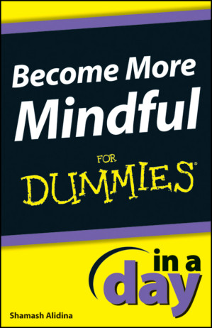 Become More Mindful In a Day For Dummies.EPUB