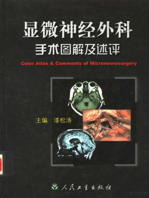 [PDF] 显微神经外科手术图解及述评