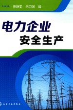 [PDF] 电力企业安全生产