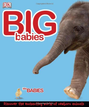 [PDF] Big Babies, Little Babies