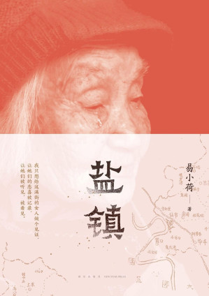 [EPUB] 盐镇（“她们的命运里，有你所不了解的中国。”Di一本深度书写中国乡镇女性的生活与命运的佳作，罗新、梁鸿、李海鹏、许知远、伊险峰 赤诚推荐！）