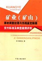 [PDF] 矿业 矿山 事故调查处理与伤残鉴定赔偿支付标准及典型案例评析 第3卷