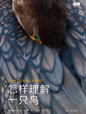 [EPUB] 怎样理解一只鸟