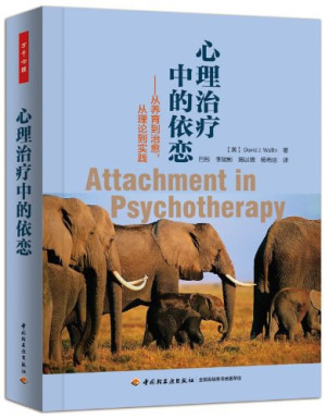 [PDF] 心理治疗中的依恋：从养育到治愈，从理论到实践
