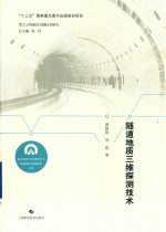 [PDF] 隧道地质三维探测技术