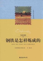 [PDF] 钢铁是怎样炼成的