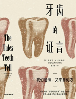 [PDF] 牙齿的证言