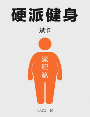 [PDF] 硬派健身·减肥篇：知乎斌卡自选集 (知乎「盐」系列)