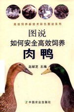 [PDF] 图说如何安全高效饲养肉鸭