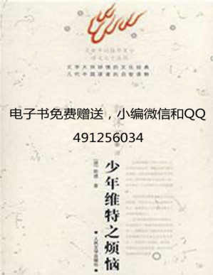 [PDF] 少年维特的烦恼