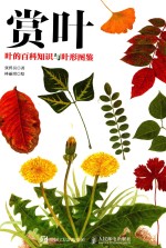 [PDF] 赏叶 叶的百科知识与叶形图鉴