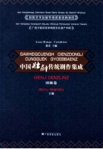 [PDF] 中国壮剧传统剧作集成 田林卷 下
