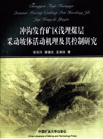 [PDF] 冲沟发育矿区浅埋煤层采动坡体活动机理及其控制研究