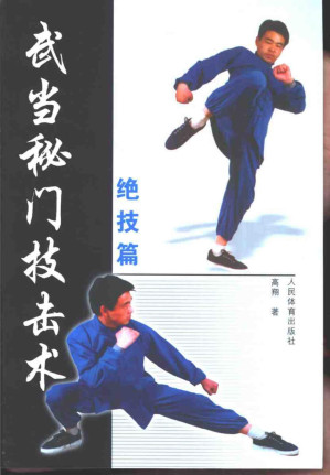 [PDF] 武当秘门技击术：绝技篇