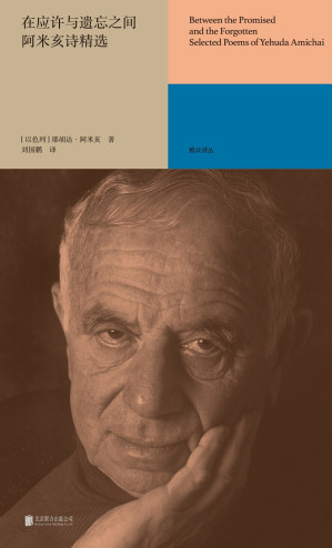 [EPUB] 在应许与遗忘之间：阿米亥诗精选