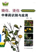 [PDF] 烧伤、烫伤中草药识别与应用