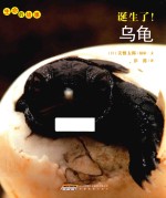 [PDF] 生命的故事 诞生了！乌龟