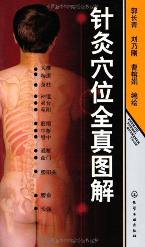 [EPUB] 针灸穴位全真图解