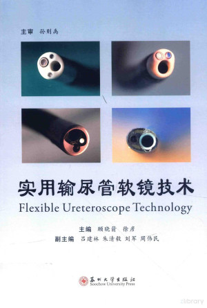 [PDF] 实用输尿管软镜技术