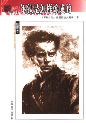 [PDF] 钢铁是怎样炼成的