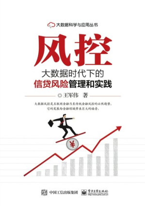 [EPUB] 风控: 大数据时代下的信贷风险管理和实践
